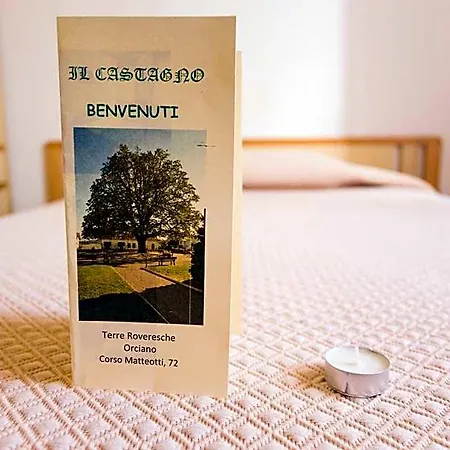Il Castagno 2*